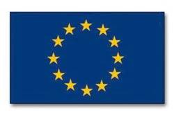 Evropský MiniParlament Mladých diplomatů na Manažerské akademii
