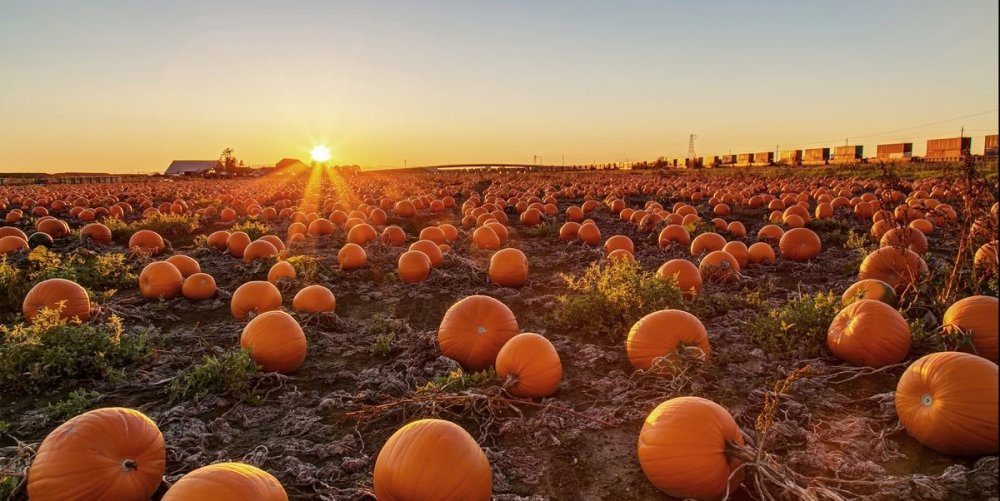 Halloweenský den na MA - on - line právě začíná!!